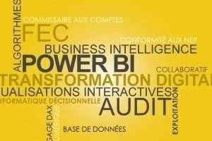 Microsoft Power BI et Audit